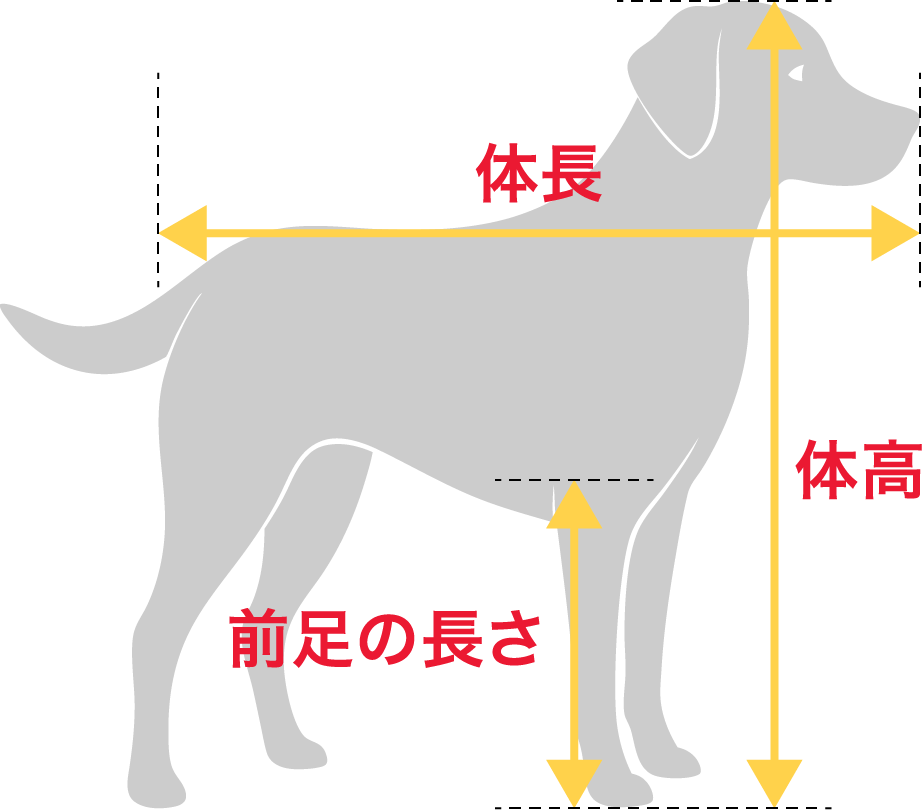 ペットを入れるクレートのサイズと出発地、最終目的地によって変わってきます。